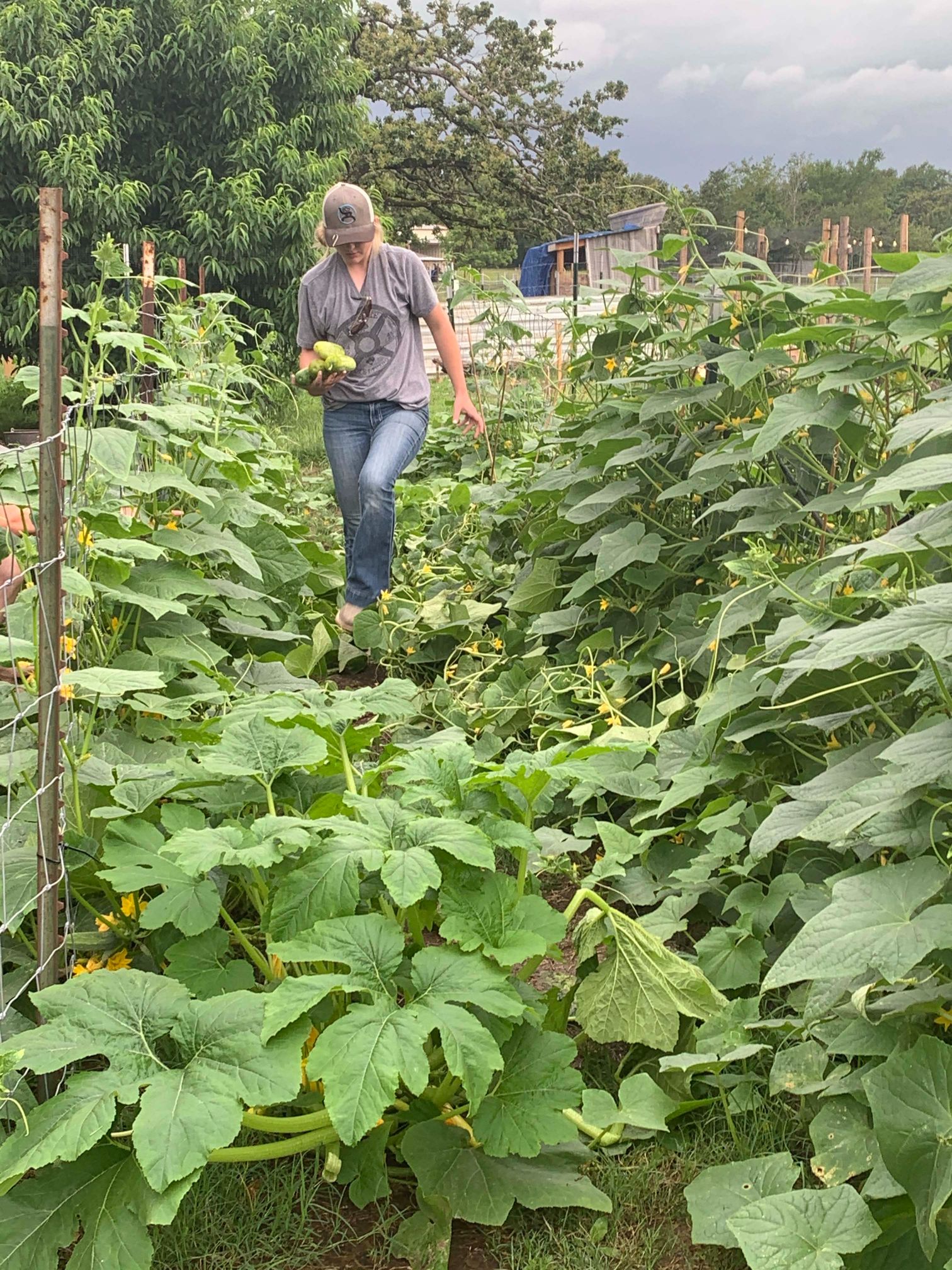 Gallery Images : Rockin Wrangler’s Farm Patch Homemade Goods & Boutique.